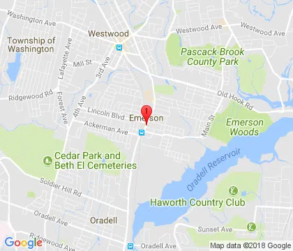 logo-image - emerson-nj